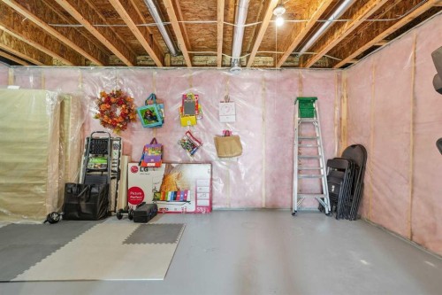 17 Auburn Meadows Link Se, Calgary, AB - Indoor Photo Showing Basement
