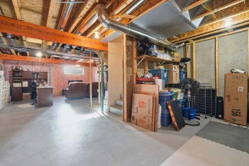17 Auburn Meadows Link Se, Calgary, AB - Indoor Photo Showing Basement