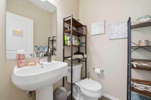 17 Auburn Meadows Link Se, Calgary, AB - Indoor Photo Showing Bathroom