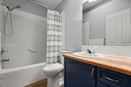 49 Somerside Close Sw, Calgary, AB - Indoor Photo Showing Bathroom