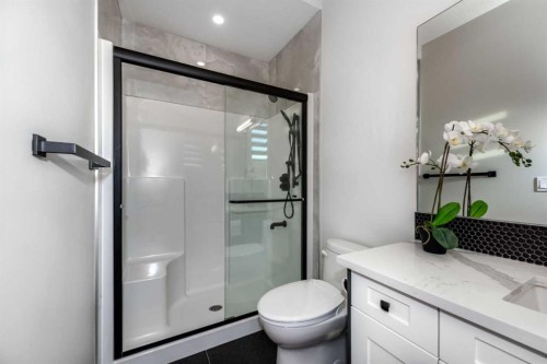66 Waterford Road, Chestermere, AB - Indoor Photo Showing Bathroom