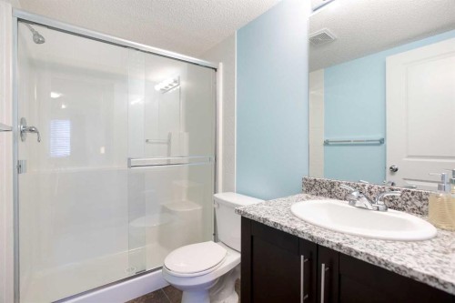 2316-81 Legacy Boulevard Se, Calgary, AB - Indoor Photo Showing Bathroom