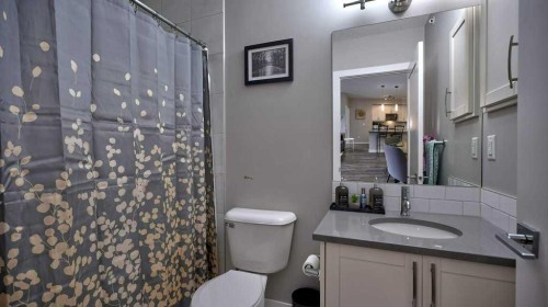 410-150 Auburn Meadows Manor Se, Calgary, AB - Indoor Photo Showing Bathroom