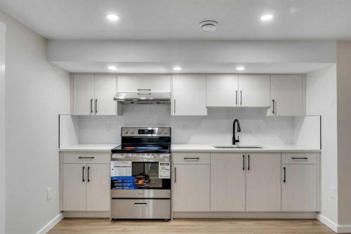1271 Penedo Crescent Se, Calgary, AB - Indoor Photo Showing Kitchen With Double Sink