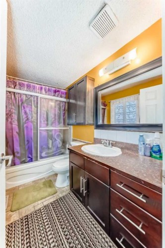 6411 26 Avenue Ne, Calgary, AB - Indoor Photo Showing Bathroom