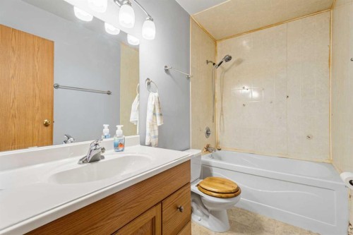 24 Martindale Boulevard Ne, Calgary, AB - Indoor Photo Showing Bathroom