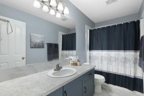 120 Douglas Glen Park Se, Calgary, AB - Indoor Photo Showing Bathroom