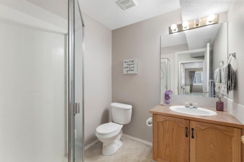 120 Douglas Glen Park Se, Calgary, AB - Indoor Photo Showing Bathroom