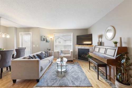 120 Douglas Glen Park Se, Calgary, AB - Indoor Photo Showing Living Room With Fireplace