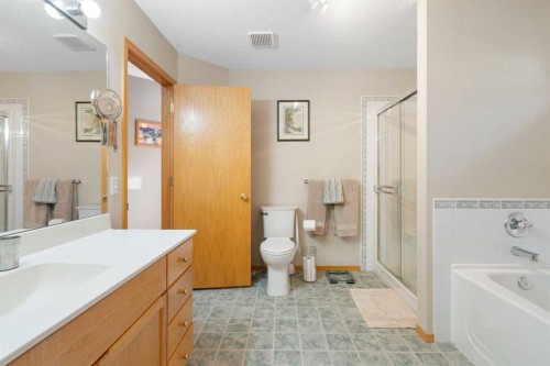 90 Patina Rise Sw, Calgary, AB - Indoor Photo Showing Bathroom