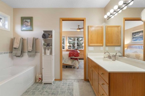 90 Patina Rise Sw, Calgary, AB - Indoor Photo Showing Bathroom