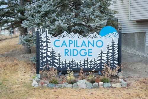 90 Patina Rise Sw, Calgary, AB - Outdoor