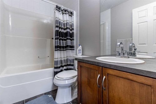 183 West Creek Landing, Chestermere, AB - Indoor Photo Showing Bathroom