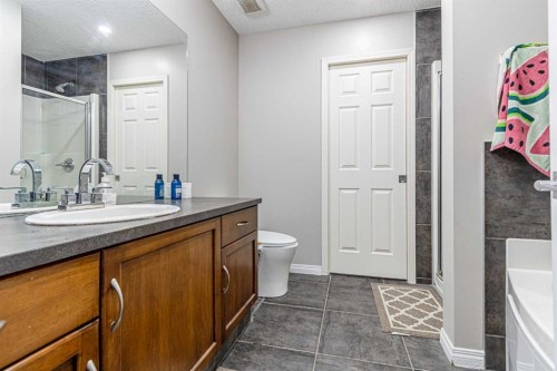 183 West Creek Landing, Chestermere, AB - Indoor Photo Showing Bathroom