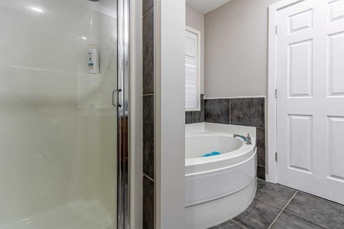 183 West Creek Landing, Chestermere, AB - Indoor Photo Showing Bathroom