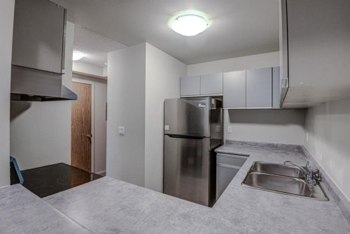 104-1720 13 Street Sw, Calgary, AB - Indoor Photo Showing Kitchen With Double Sink