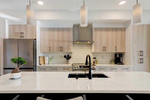 570 Legacy Circle Se, Calgary, AB - Indoor Photo Showing Kitchen With Upgraded Kitchen