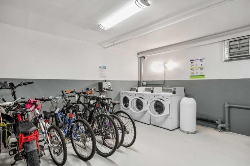 46-330 19 Avenue Sw, Calgary, AB - Indoor Photo Showing Laundry Room