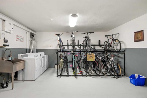 46-330 19 Avenue Sw, Calgary, AB - Indoor Photo Showing Laundry Room