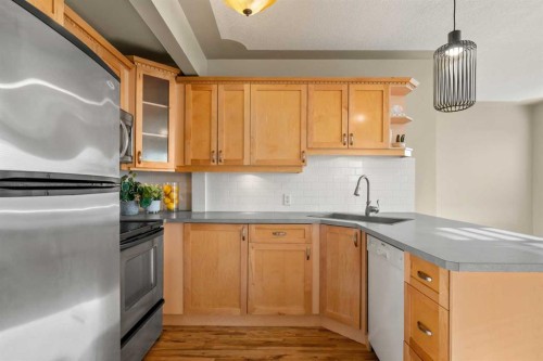 46-330 19 Avenue Sw, Calgary, AB - Indoor Photo Showing Kitchen