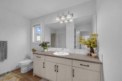 8925 Cityscape Drive Ne, Calgary, AB - Indoor Photo Showing Bathroom