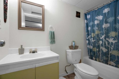 3 Booth Crescent, Irricana, AB - Indoor Photo Showing Bathroom