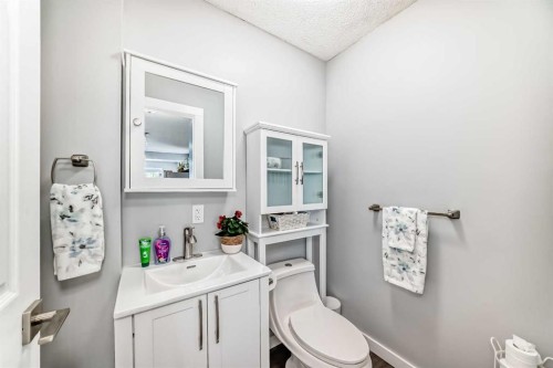 137 Coverton Circle Ne, Calgary, AB - Indoor Photo Showing Bathroom