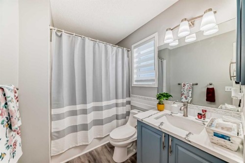 137 Coverton Circle Ne, Calgary, AB - Indoor Photo Showing Bathroom