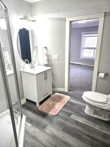 137 Coverton Circle Ne, Calgary, AB - Indoor Photo Showing Bathroom