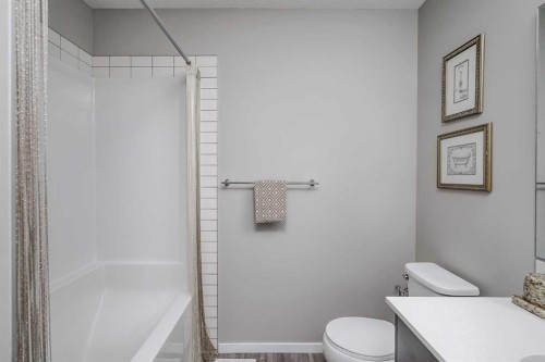 203-130 Redstone Walk Ne, Calgary, AB - Indoor Photo Showing Bathroom