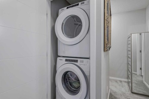 203-130 Redstone Walk Ne, Calgary, AB - Indoor Photo Showing Laundry Room