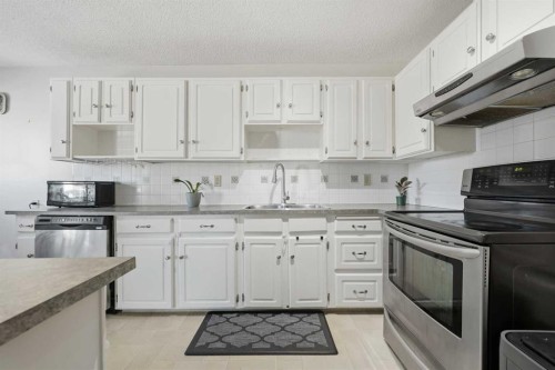 923 Marcombe Drive Ne, Calgary, AB - Indoor Photo Showing Kitchen With Double Sink