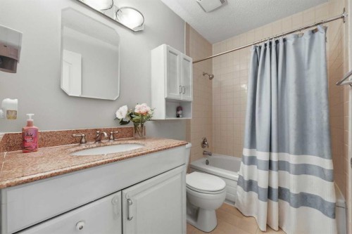 923 Marcombe Drive Ne, Calgary, AB - Indoor Photo Showing Bathroom