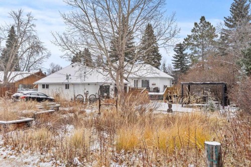 656 Royalite Way Se, Diamond Valley, AB - Outdoor