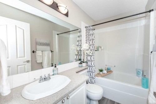 136 Mt Aberdeen Manor Se, Calgary, AB - Indoor Photo Showing Bathroom