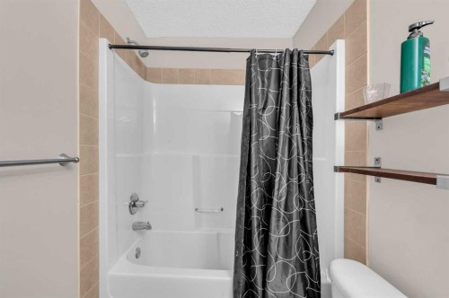 231 Saddlebrook Way Ne, Calgary, AB - Indoor Photo Showing Bathroom