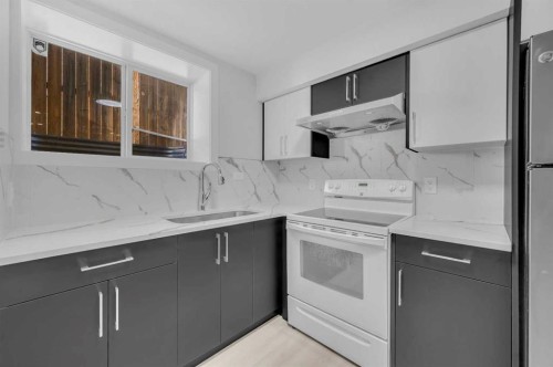 231 Saddlebrook Way Ne, Calgary, AB - Indoor Photo Showing Kitchen