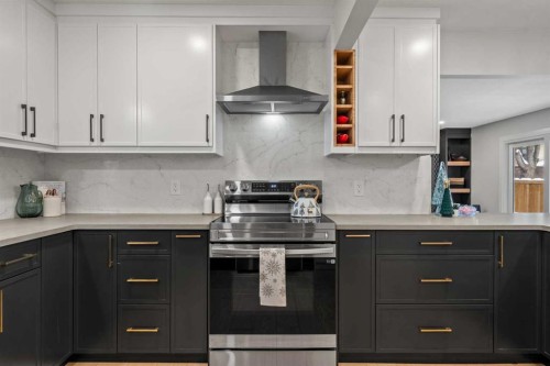 92 Deermeade Road Se, Calgary, AB - Indoor Photo Showing Kitchen