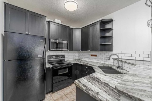 311-1540 17 Avenue Sw, Calgary, AB - Indoor Photo Showing Kitchen With Double Sink