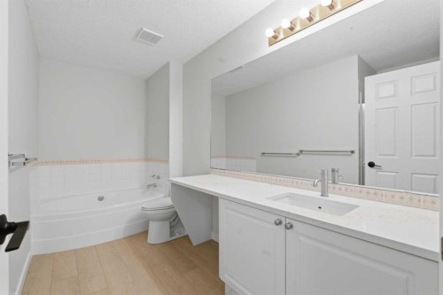 210 Douglas Glen Point Se, Calgary, AB - Indoor Photo Showing Bathroom
