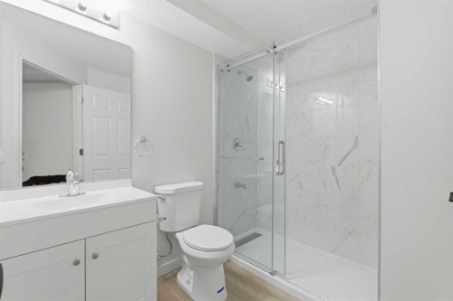 210 Douglas Glen Point Se, Calgary, AB - Indoor Photo Showing Bathroom