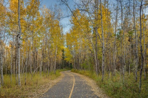 139 Wood Valley Rise Sw, Calgary, AB - Outdoor With View