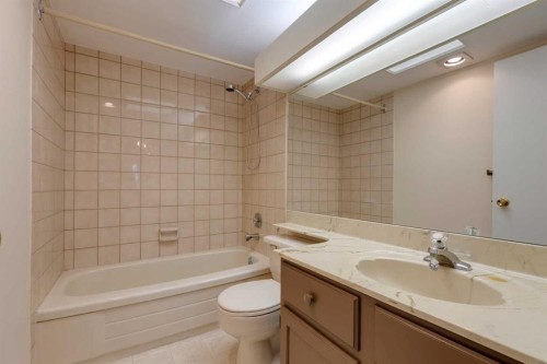 206-3737 42 Street Nw, Calgary, AB - Indoor Photo Showing Bathroom