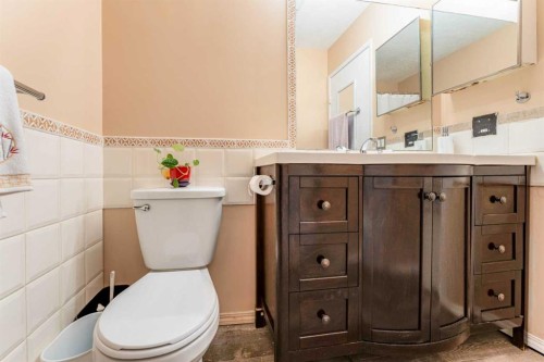 6640 Temple Drive Ne, Calgary, AB - Indoor Photo Showing Bathroom