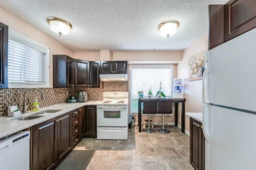 6640 Temple Drive Ne, Calgary, AB - Indoor Photo Showing Kitchen With Double Sink