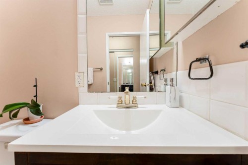 6640 Temple Drive Ne, Calgary, AB - Indoor Photo Showing Bathroom