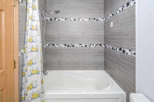 311 Coventry Circle Ne, Calgary, AB - Indoor Photo Showing Bathroom