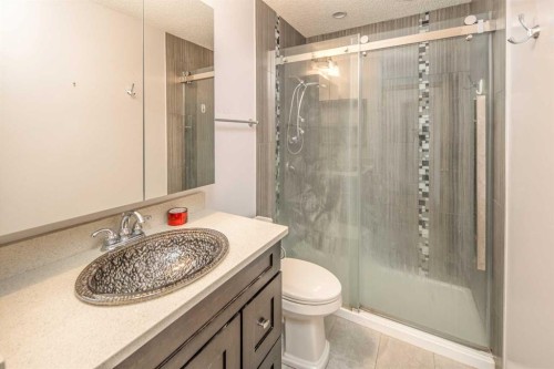 311 Coventry Circle Ne, Calgary, AB - Indoor Photo Showing Bathroom