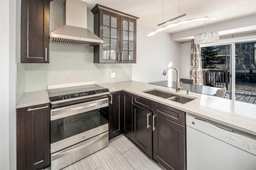 311 Coventry Circle Ne, Calgary, AB - Indoor Photo Showing Kitchen With Double Sink With Upgraded Kitchen