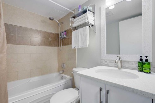 207-339 13 Avenue Sw, Calgary, AB - Indoor Photo Showing Bathroom
